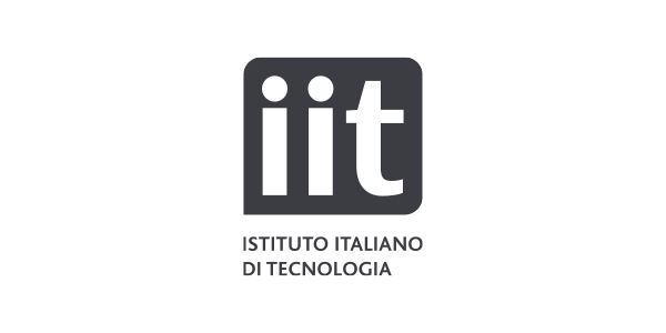 iit CNR Logo